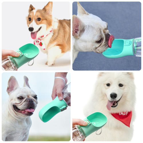 Outdoor Pet feeder bowl and water bottle